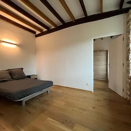 Apartmán Modern House - Proche Foret *